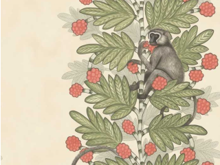 Cole & Son Acacia - 109/11051