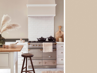 Little Greene Intelligent Exterior Eggshell - Champignon 142