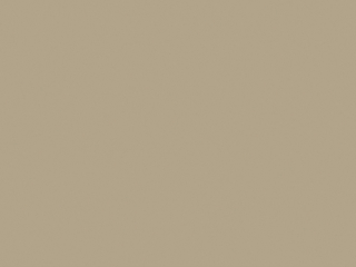 Little Greene Wall Primer Sealer - Brume roulante foncée 160