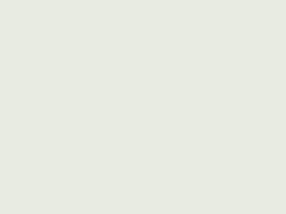 Little Greene Wall Primer Sealer - Couleur nacrée pâle 167