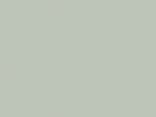 Little Greene - Couleur perle foncée 169