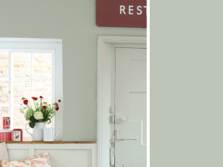 Little Greene Intelligent Eggshell - Couleur nacrée foncée 169