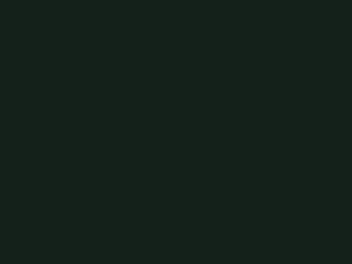 Little Greene Intelligent Gloss - Vert Obsidienne 216