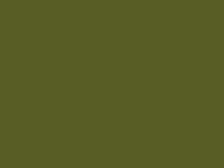 Little Greene Intelligent Gloss - Jewel Beetle 303