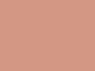 Paint & Paper Library Architects' Matt - Jaipur Rose 416