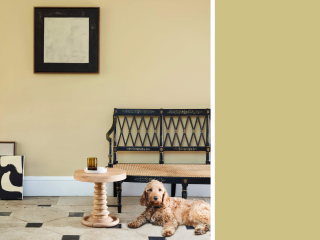 Little Greene Intelligent Matt Emulsion - Oak Apple 63