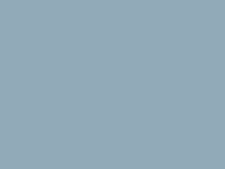 Paint & Paper Library Architects' Matt - Veine Bleue 676