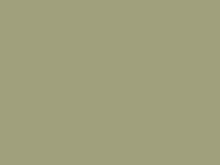 Little Greene Intelligent Exterior Eggshell - Normandy Grey 79