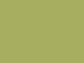 Little Greene Intelligent Floor Paint - Boxington 84