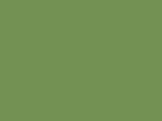 Little Greene Intelligent Floor Paint - Garden 86