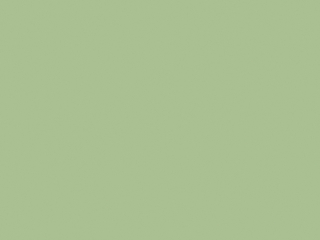 Little Greene Intelligent Floor Paint - Pea Green 91