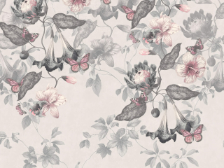 Asterid - Nightshade de Little Greene