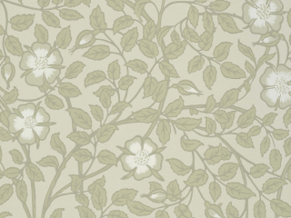 Papier peint floral vert et beige de Little Greene - Briar Rose - Green Stone