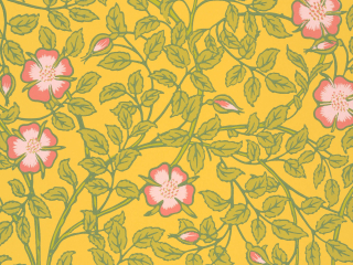 Papier peint jaune avec des fleurs roses Briar Rose - Indian Yellow Little Greene