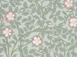 Little Greene Briar Rose - Salix papier peint avec des fleurs et des feuilles