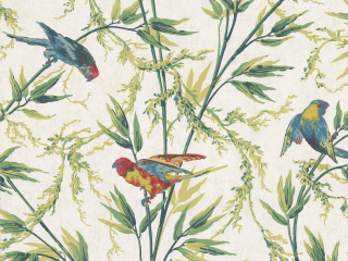 Little Greene Great Ormond Street - Tropical papier peint avec des oiseaux de petite taille et de différentes couleurs et des graminées élégantes