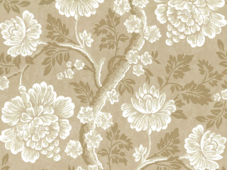 Élégant papier peint à fleurs aux teintes Gustav - Mudan marron de Little Greene