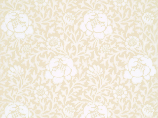 Papier peint Lansdowne Walk - Frost avec des fleurs blanches