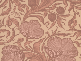 Little Greene Poppy Trail - Mascarade