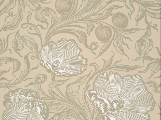 Little Greene Poppy Trail - Pierre de Portland