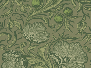 Little Greene Sentier des coquelicots - Vert sauge