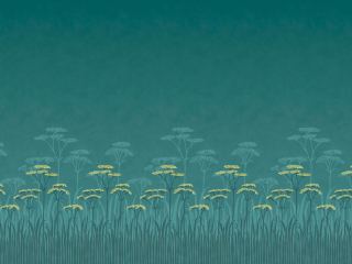 Achillea - Aurora papier peint de Little Greene