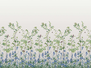 Bird & Bluebell - Ceviche papier peint sur fond blanc avec des fleurs bleues de Little Greene