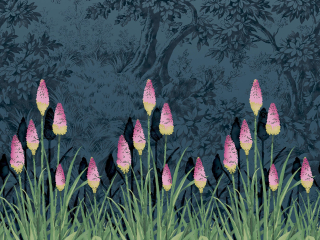 Little Greene Upper Brook Street - Crépuscule