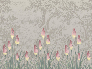 Little Greene Upper Brook Street - Matin
