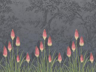 Little Greene Upper Brook Street - Minuit