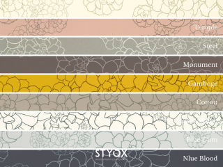 Paint & Paper Library Aeonium - Blue Blood