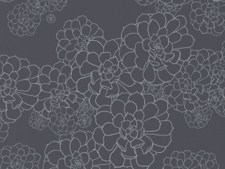 Paint & Paper Library Aeonium - Blue Blood