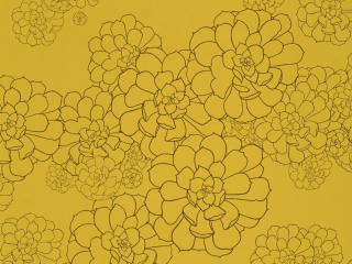 Paint & Paper Library Aeonium - Gamboge