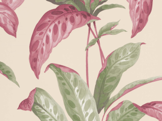 Paint & Paper Library Tropicane - Rhubarb