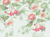 Groen papier peint Asterid - Mint de Little Greene avec des fleurs roses