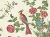 Darwin - Provence papier peint de Little Greene avec des fleurs rouges et bleues et de grands oiseaux colorés