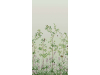 Répétition du motif Little Greene papier peint Oiseau & Jacinthe - vert petit pois