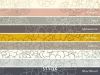 Paint & Paper Library Aeonium - Clean White