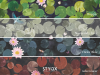 Little Greene Lily Pads - Hicks' Blue