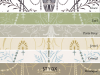 Little Greene Marlborough - Crystal
