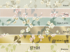 Little Greene Sakura - Fawn