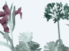 Paint & Paper Library Aloe Walk - Ice