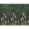 Little Greene Upper Brook Street - Night Garden