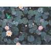 Little Greene Lily Pads - Hicks' Blue