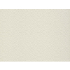 Paint & Paper Library Seedpod - Wattle