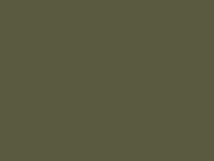 Paint & Paper Library Architects' Gloss - Bronze 283
