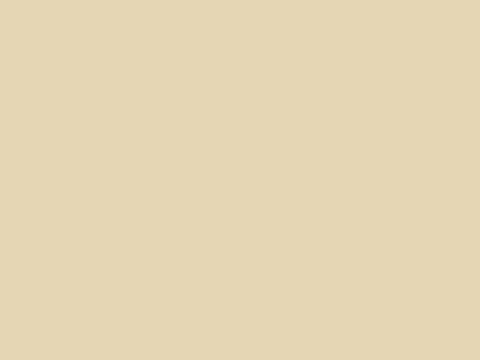 Paint & Paper Library Pure Flat Emulsion - Papier IV 434