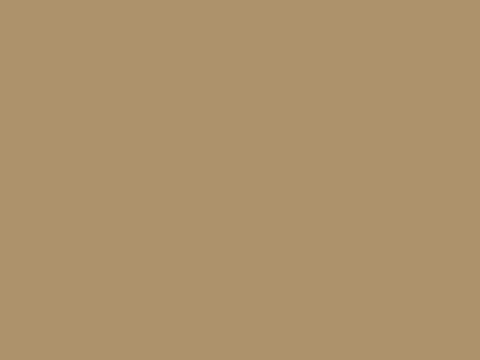 Paint & Paper Library Architects' Matt - Caddie 452