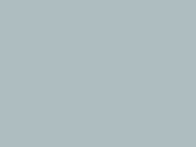 Paint & Paper Library Pure Flat Emulsion - Porcelaine V 665