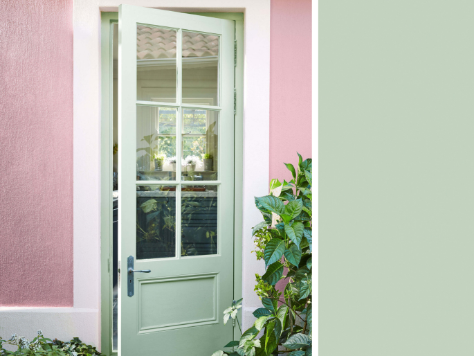 Little Greene - Salix 99 sur la porte extérieure